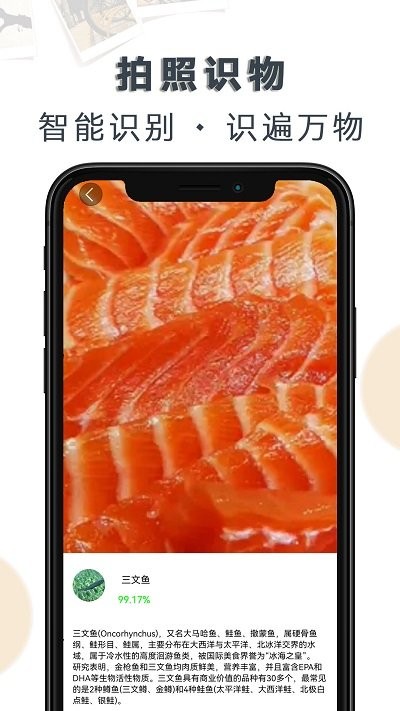 豆拍拍照識物