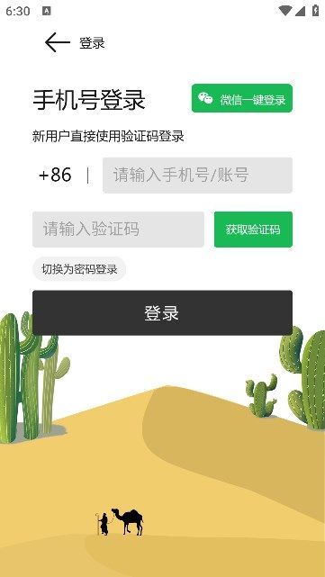 湛圈圈