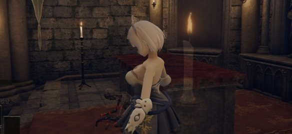 《艾爾登法環(huán)》諾艾爾素體替換觀星者長袍等裝備MOD
