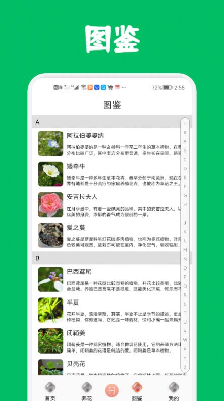 識花養花