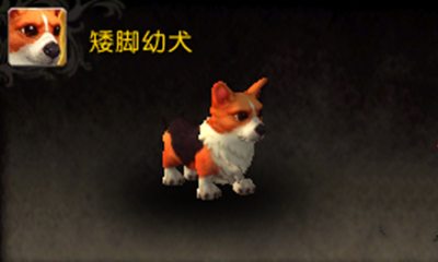 《魔獸世界》寵物矮腳幼犬獲取攻略