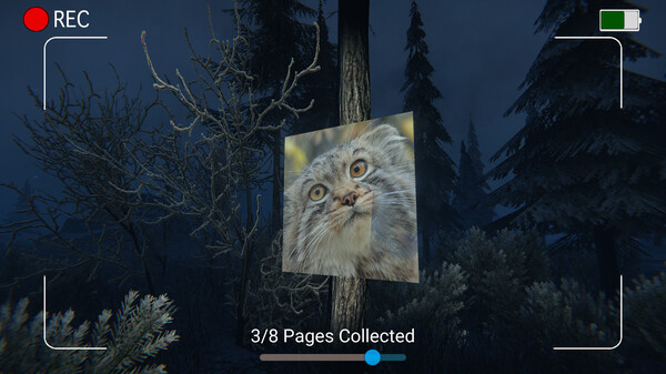 黑夜中的弗洛帕