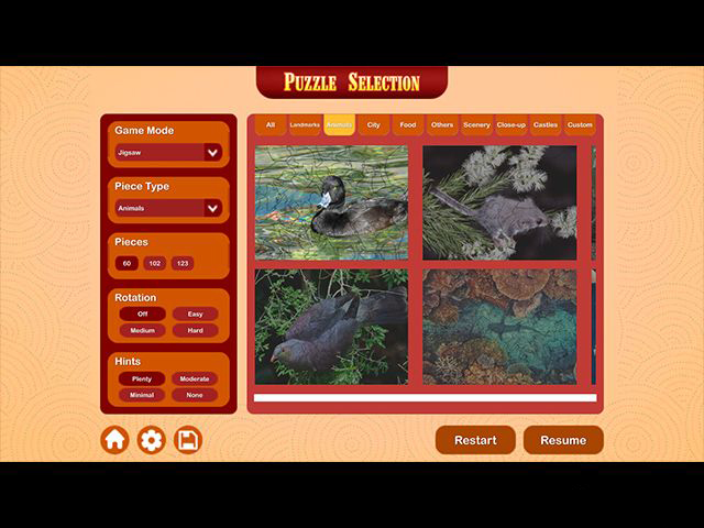 益智假期：澳大利亞和新西蘭