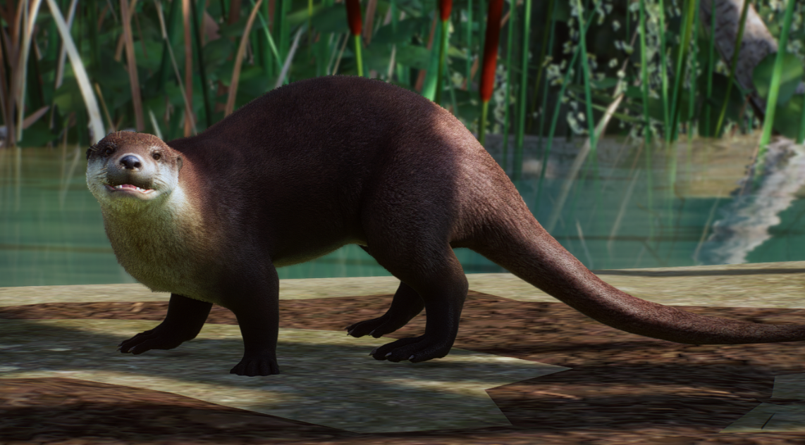 《動物園之星》增添歐亞水獺作為新物種MOD