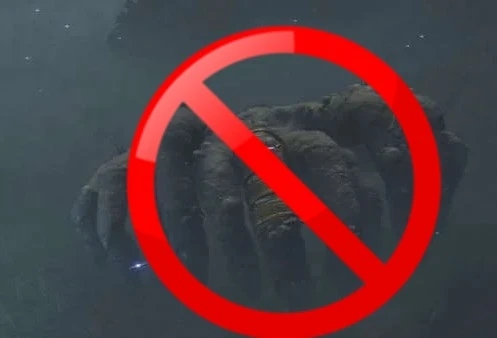 《艾爾登法環(huán)》螃蟹替換蜘蛛類怪物MOD