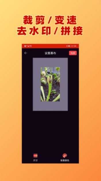 視頻加文字