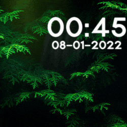 《Wallpaper Engine》蒼翠松葉記時動態壁紙