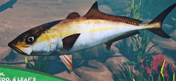《動物園之星》增添新物種黃尾鰤魚MOD[支持v1.13版]
