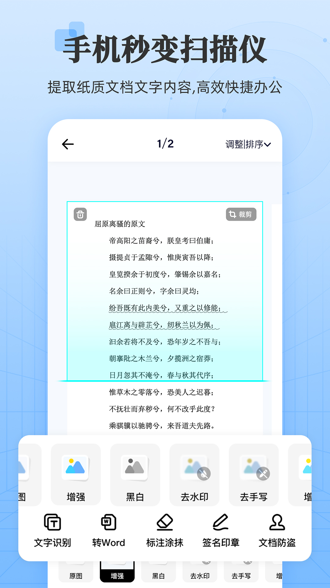 章魚掃描王