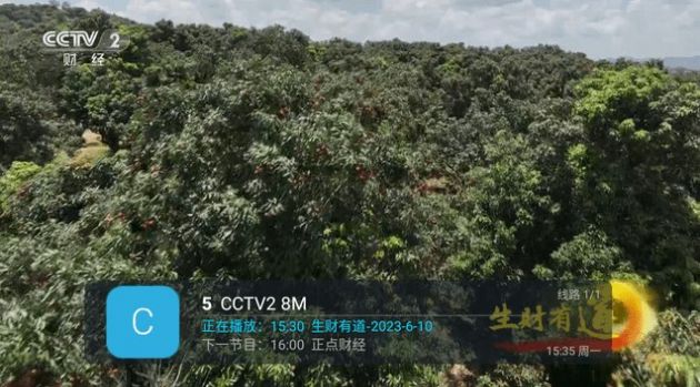 愛云TV