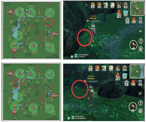 《小森生活》稀有甲蟲分布位置介紹