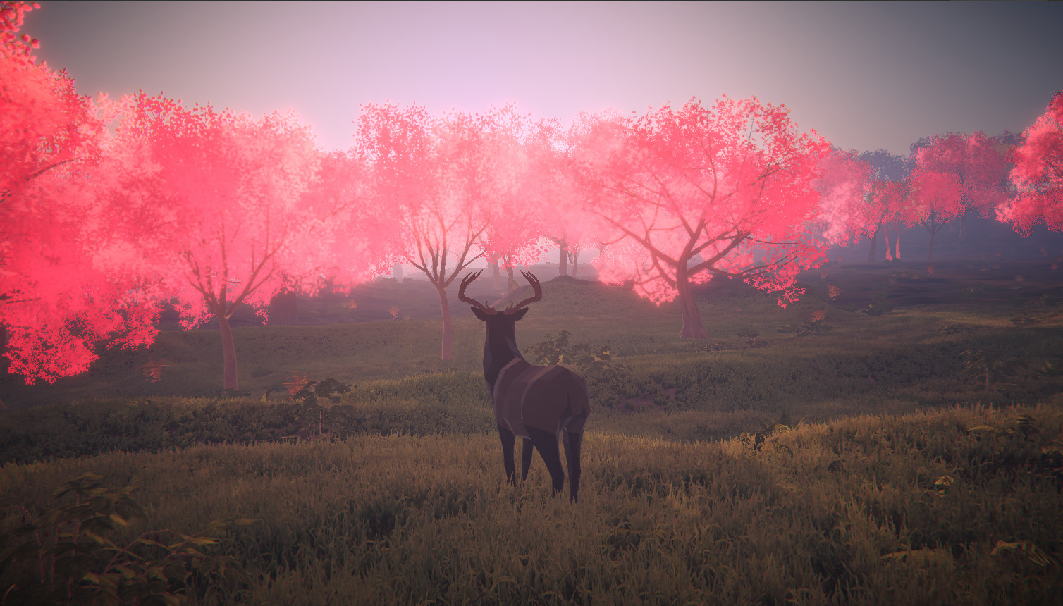 遺產(chǎn)：最后的純潔之心