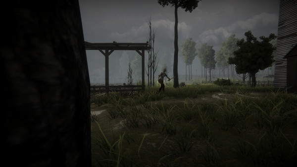 The Shadelight