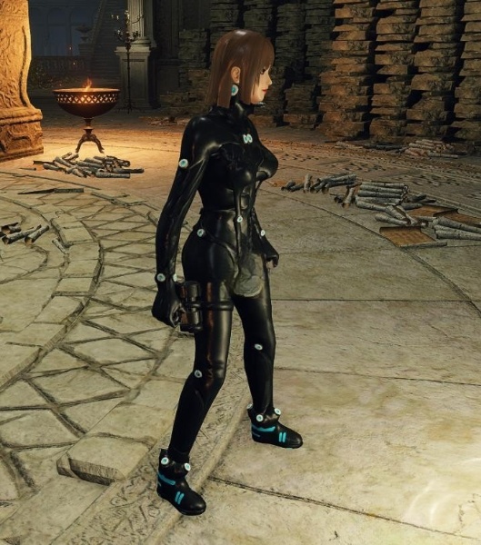 《艾爾登法環》DOA井伊直虎MOD