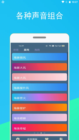 螞蟻睡眠