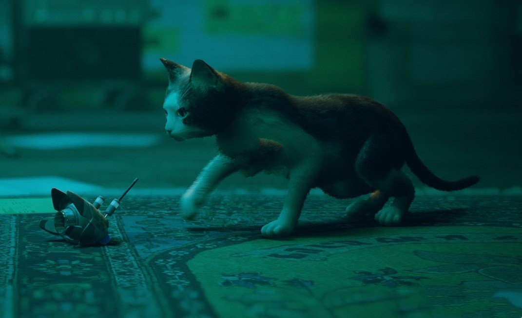 《Stray》雪鞋暹羅貓MOD