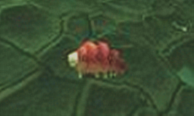 《魔獸世界》寵物帝蠶蟲獲取攻略