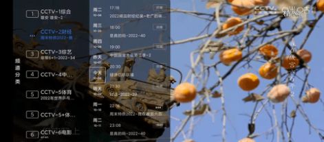 大白電視追劇