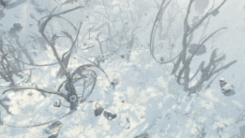 The Frosts:First Ones