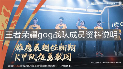 《王者榮耀》gog戰隊成員資料說明