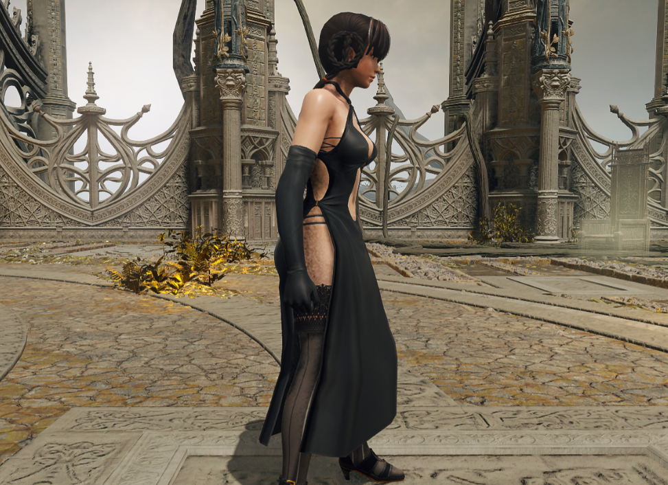 《艾爾登法環》死或生雷芳替換觀星者套MOD