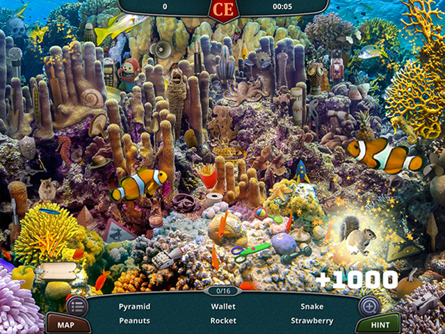 度假天堂：佛羅里達州