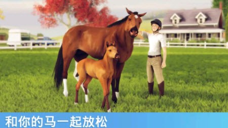奔跑的馬