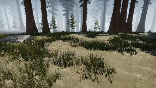 失蹤的飛機：生存