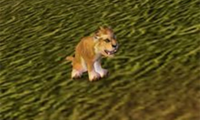 《魔獸世界》寵物暗月豹幼崽獲取攻略