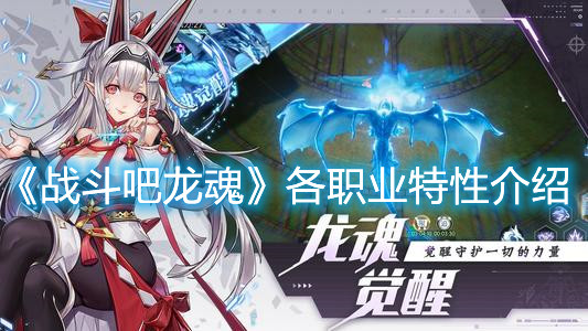 《戰斗吧龍魂》各職業特性介紹