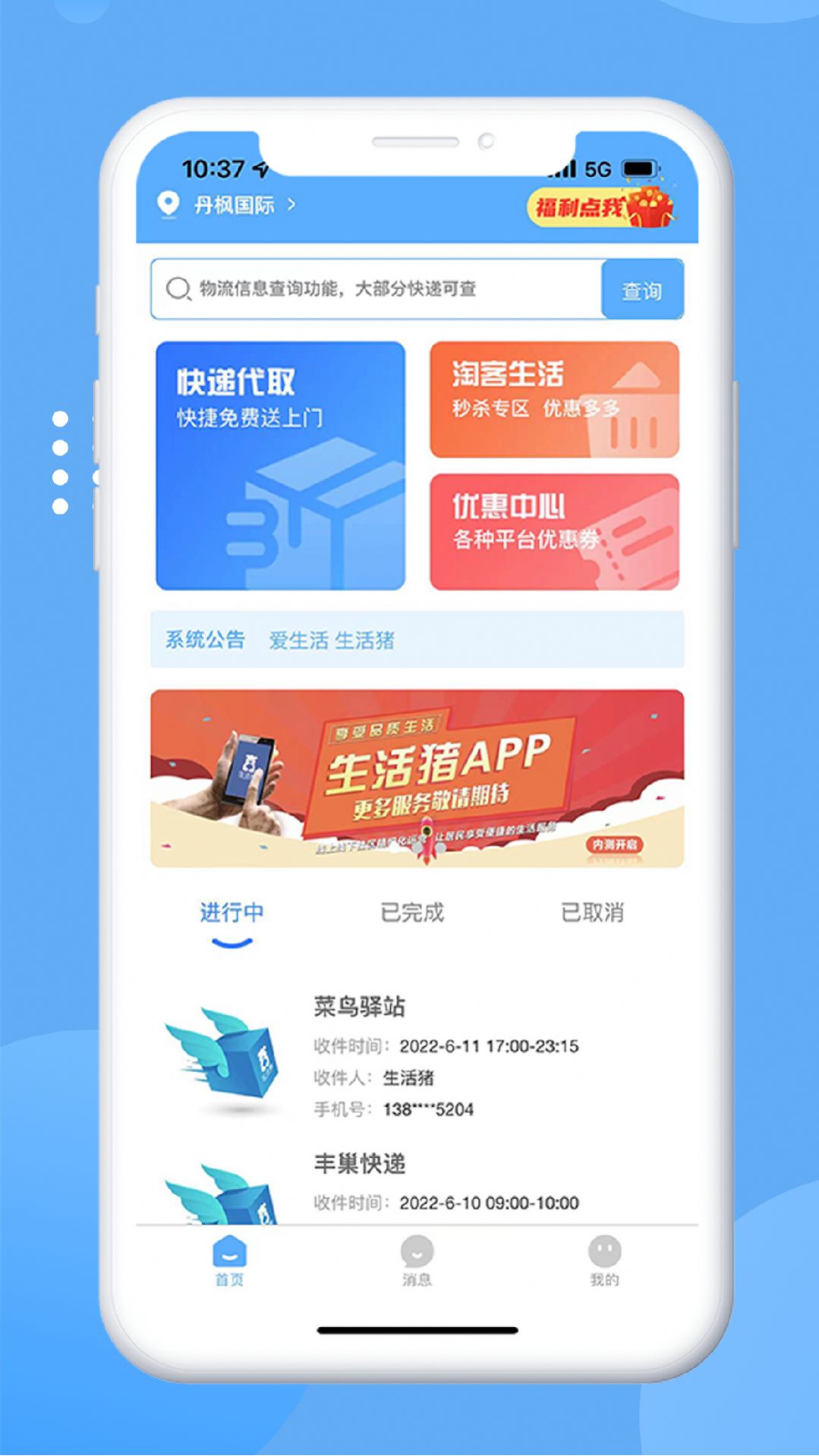生活豬