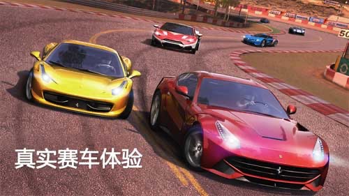 真實(shí)賽車體驗(yàn)無限金幣版