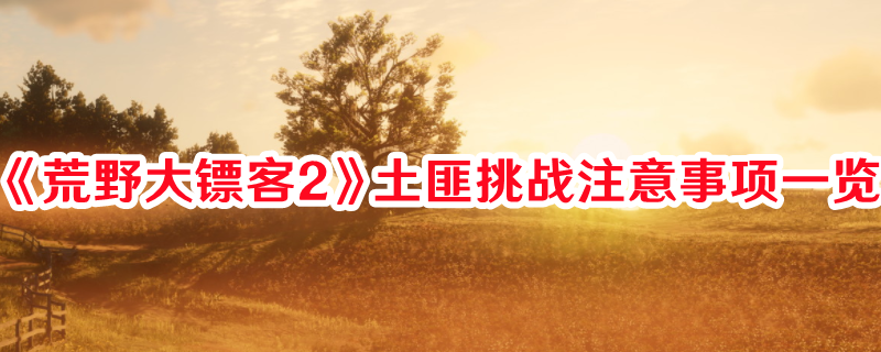 《荒野大鏢客2》土匪挑戰(zhàn)注意事項(xiàng)一覽
