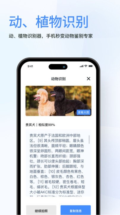 春楓掃描