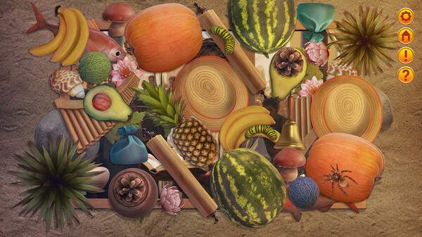 神圣之旅：耶穌的生平