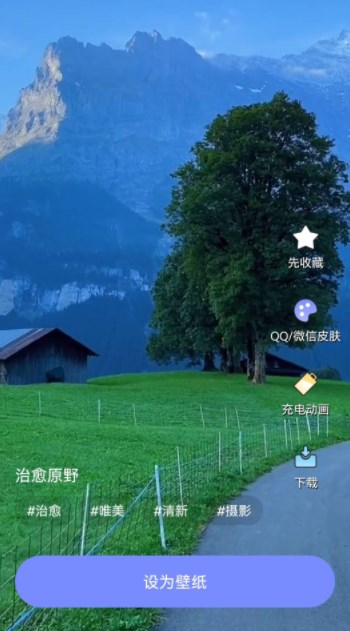 天天桌面壁紙