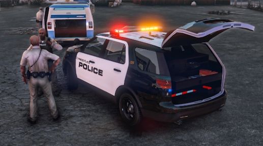 警察追車(chē)3D