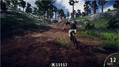 極限山地自行車