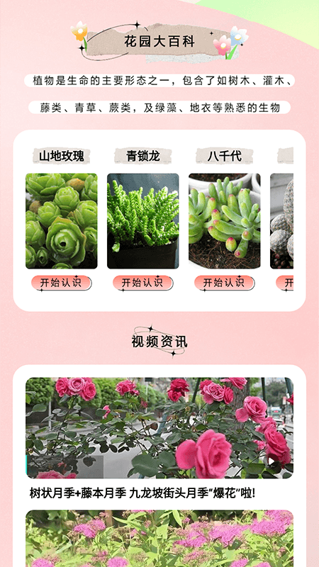 萬物識圖大師