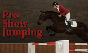 職業場地障礙賽