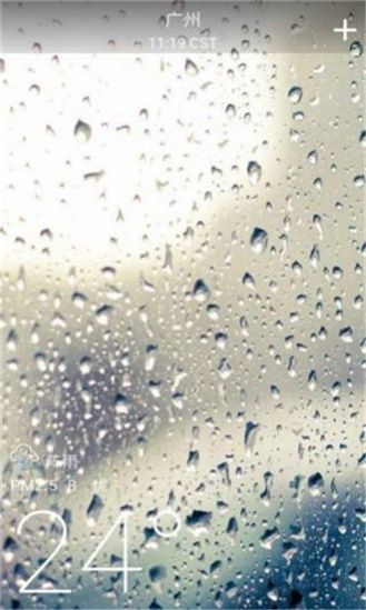 美熊天氣