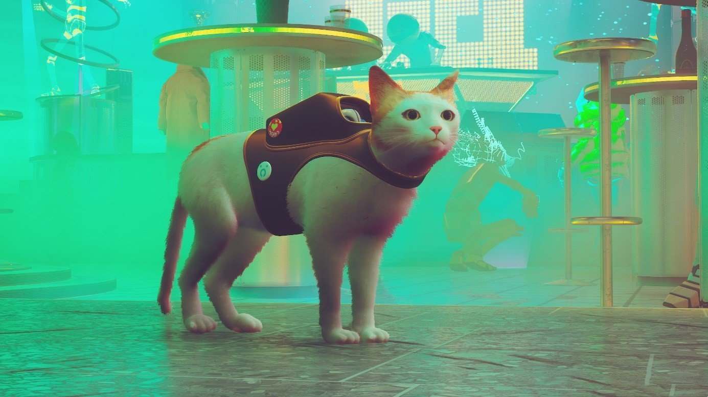 《Stray》白毛橘耳橘尾貓MOD