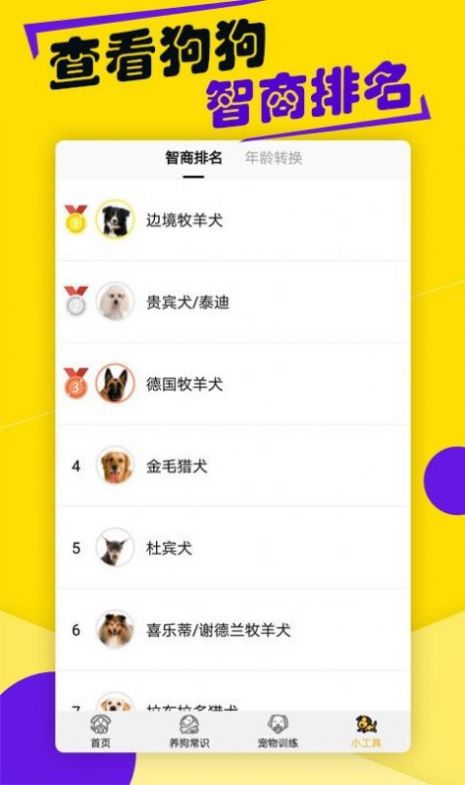 狗語(yǔ)交流翻譯器