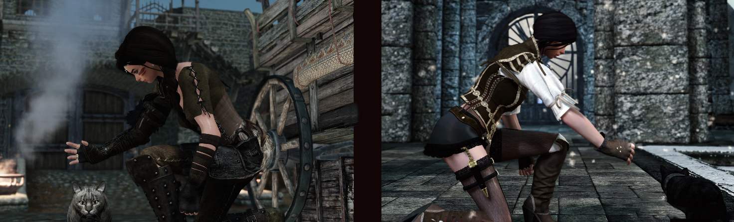 《上古卷軸5：天際》寵愛貓咪動作MOD