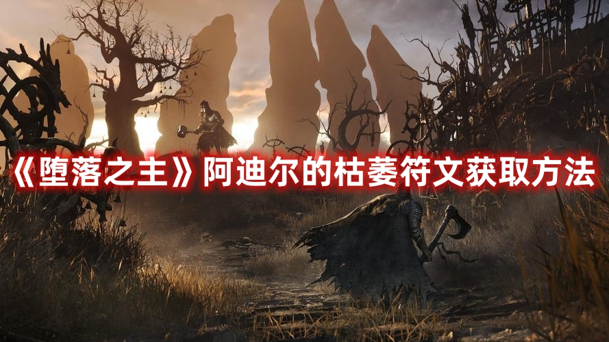 《墮落之主》阿迪爾的枯萎符文獲取方法