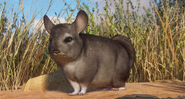 《動物園之星》增添新物種絨毛絲鼠MOD[支持v1.13版]