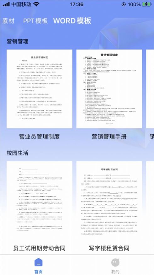 海鷗屏保壁紙