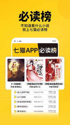 福祿小說