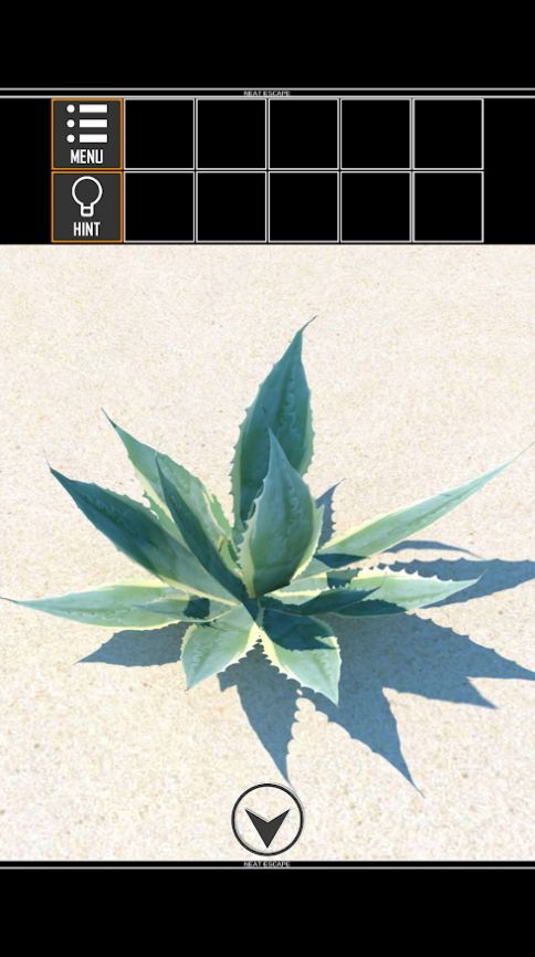 密室逃脫荒島危機