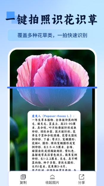 AI掃描小助手